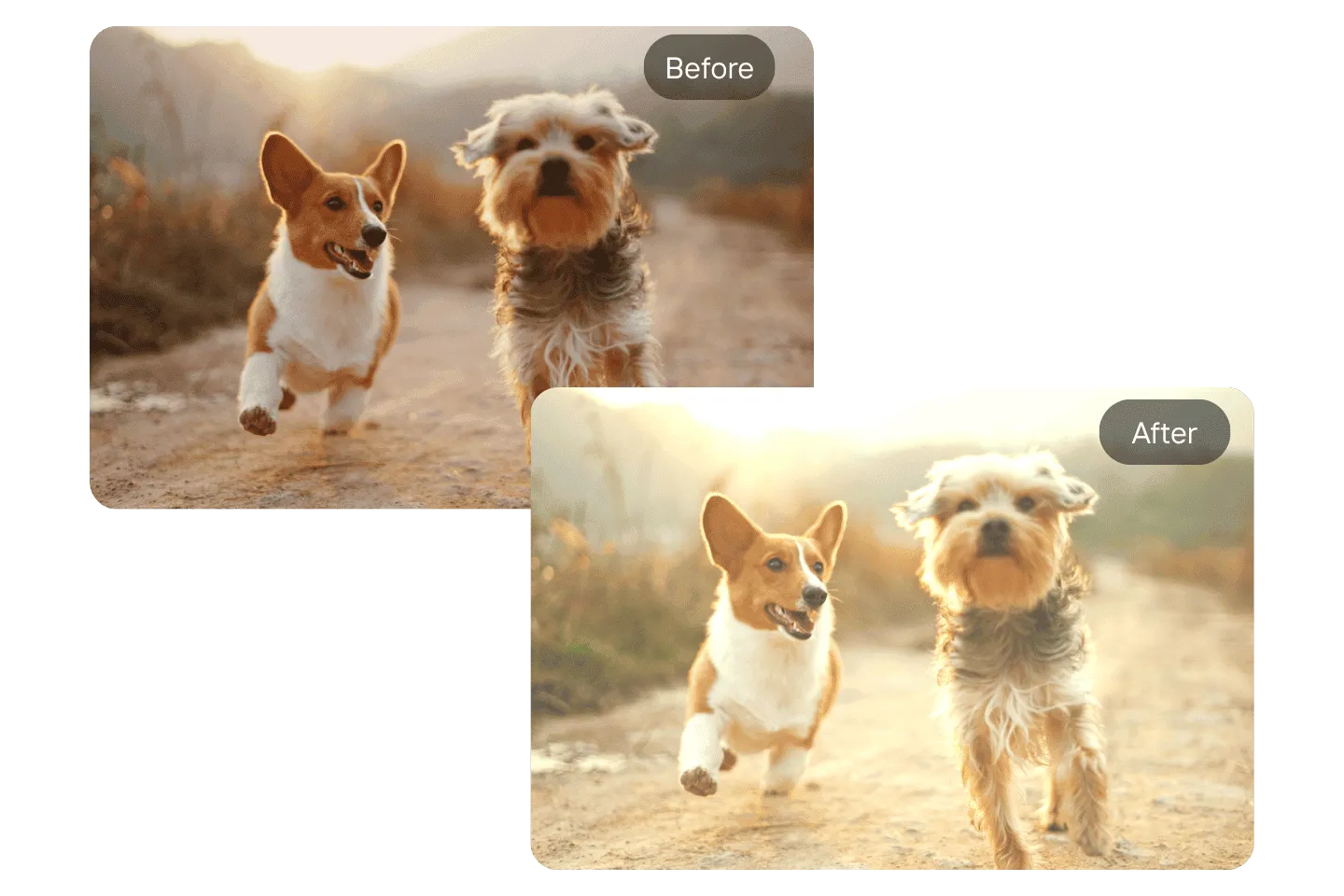 Beautiful Filter Free Online Photo Filters – Aesthetic, Vintage, B&W & More | ArtsFlick