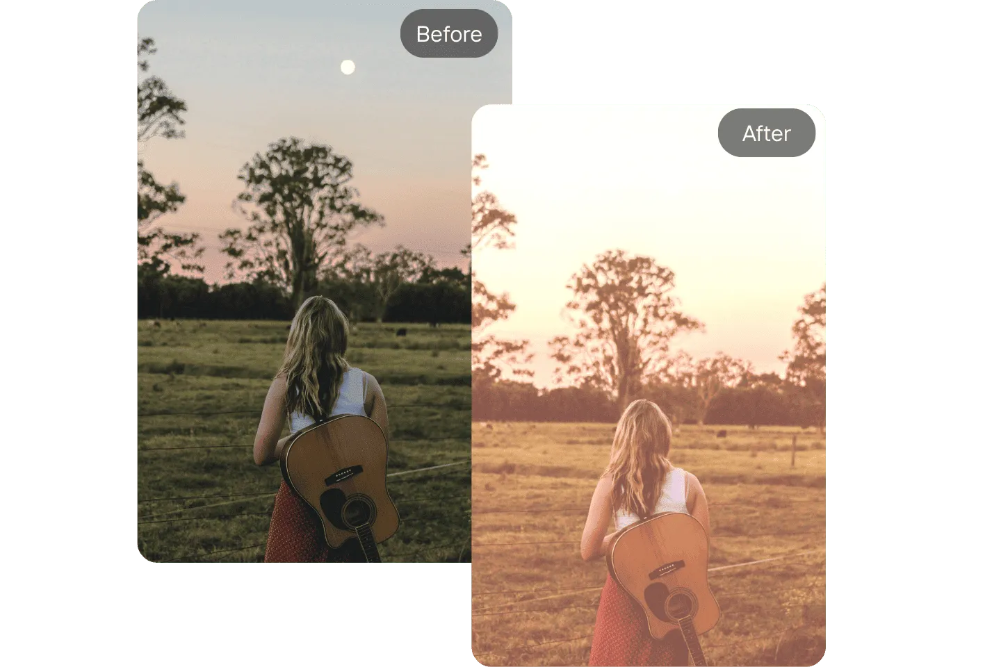 Free Online Photo Filters – Aesthetic, Vintage, B&W & More | ArtsFlick