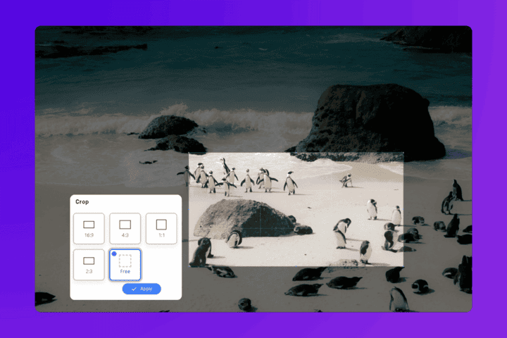 Crop tool with adjustable handles framing a photo in the ArtsFlick editor
